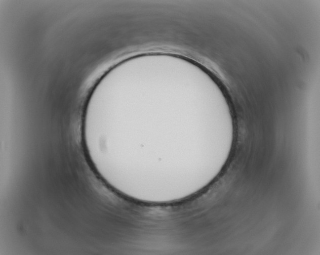 X0000113361504200910131250