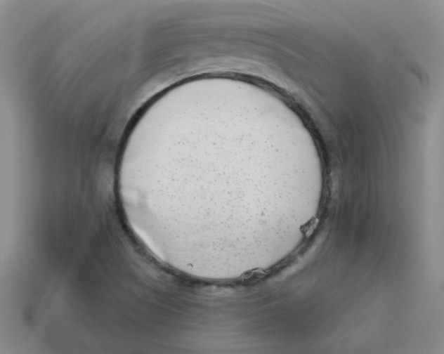 X0000113361505200910131250