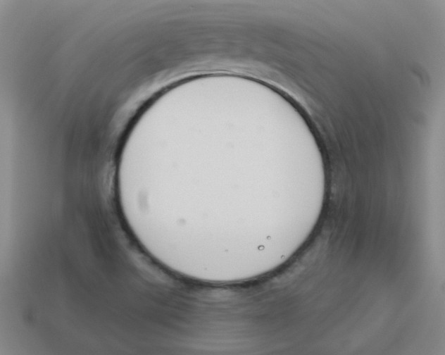 X0000113361507200910131250