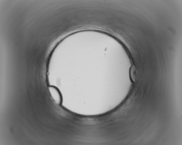 X0000113361508200910131250