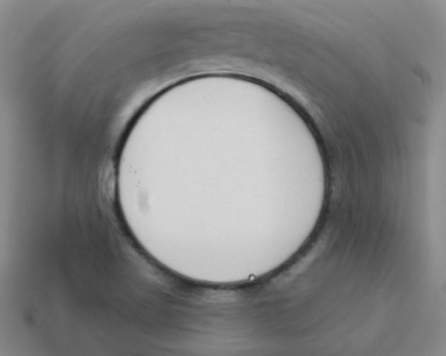 X0000113361509200910131250