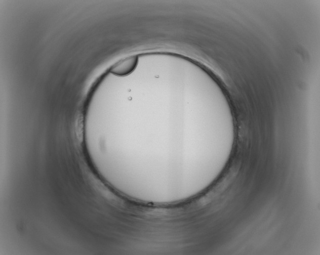 X0000113361510200910131250