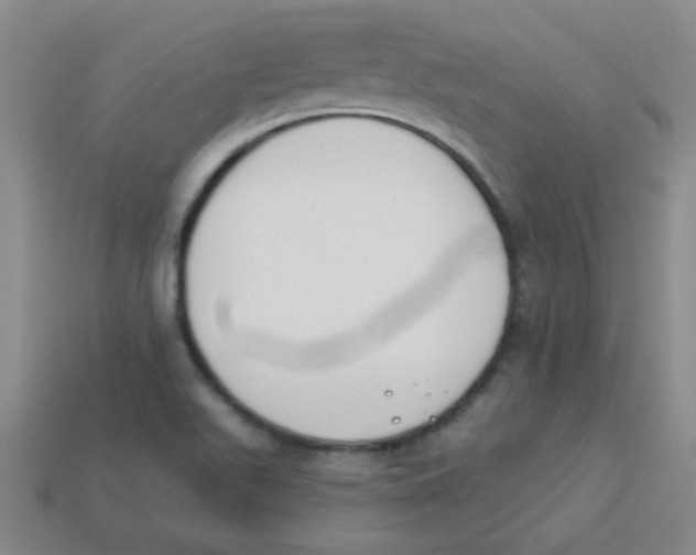 X0000113361511200910131250