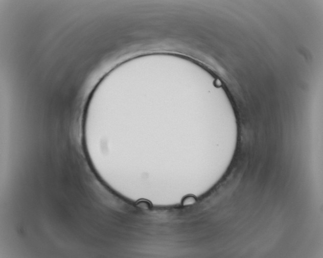 X0000113361512200910131250