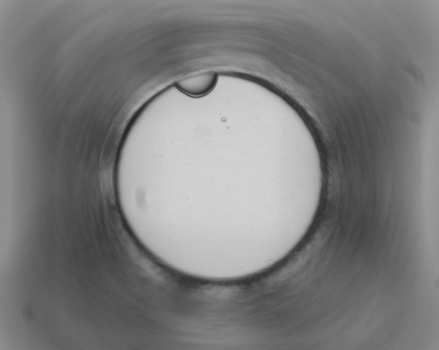 X0000113361513200910131250