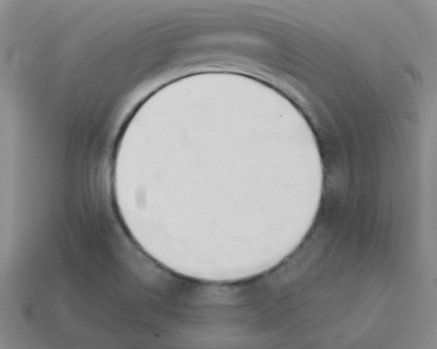 X0000113361514200910131250