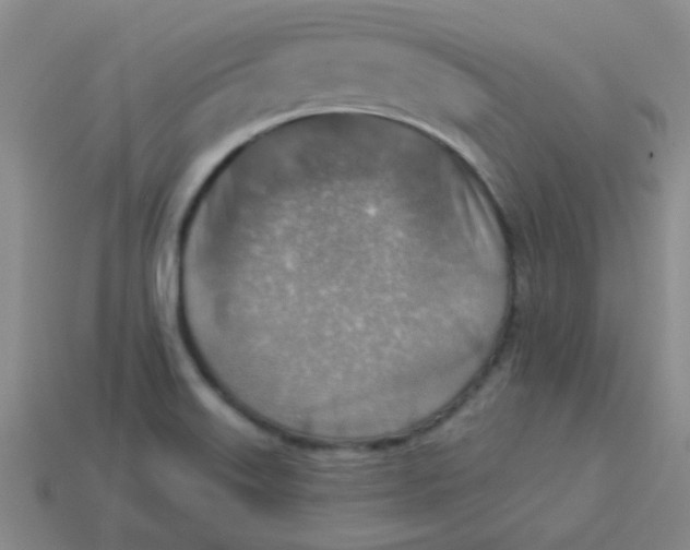 X0000113361515200910131250