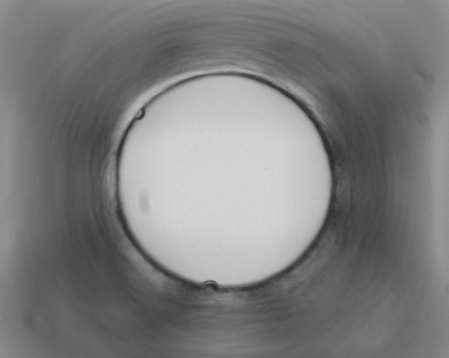 X0000113361516200910131250