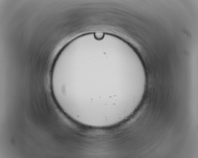 X0000113361517200910131250