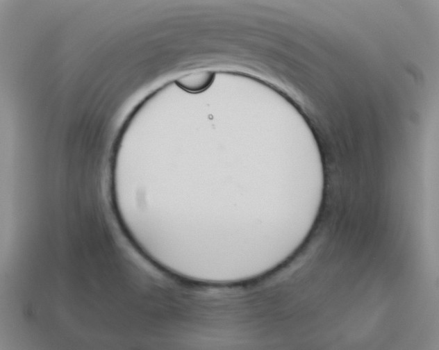 X0000113361518200910131250