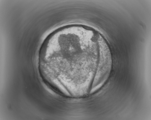 X0000113361519200910131250