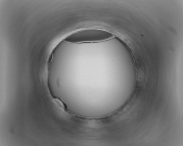 X0000113361520200910131250