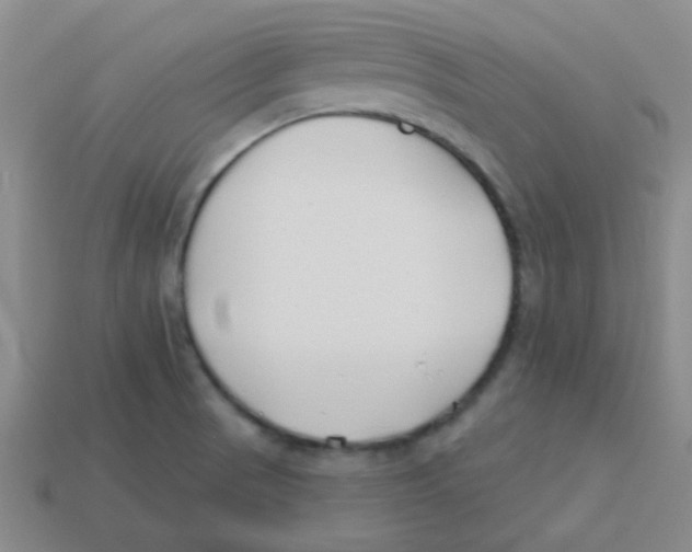 X0000113361521200910131250