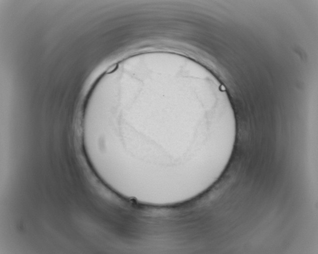 X0000113361522200910131250