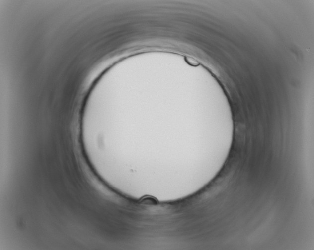 X0000113361523200910131250