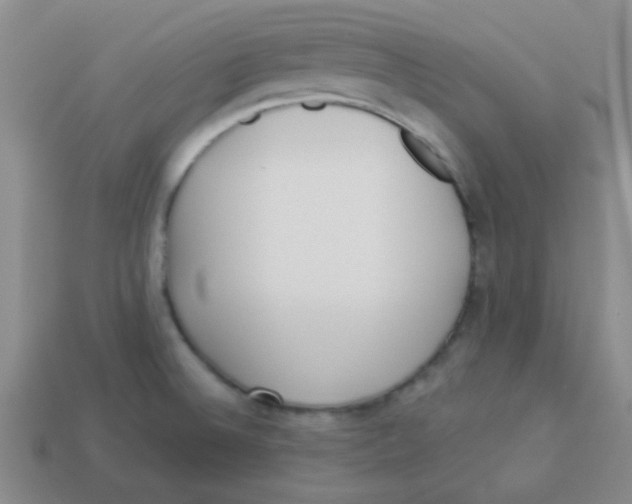 X0000113361524200910131250