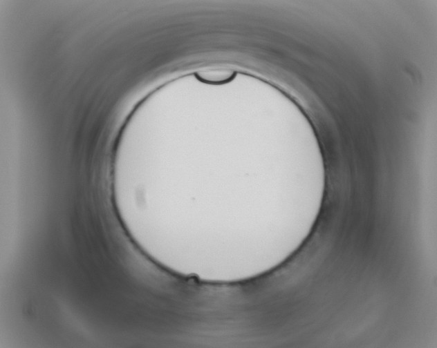 X0000113361526200910131250