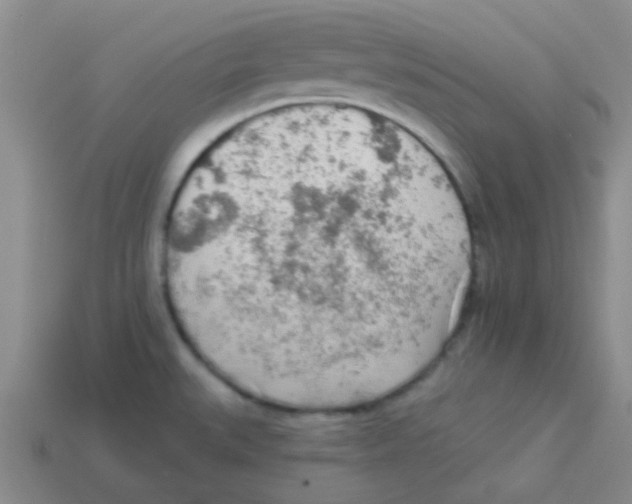 X0000113361527200910131250