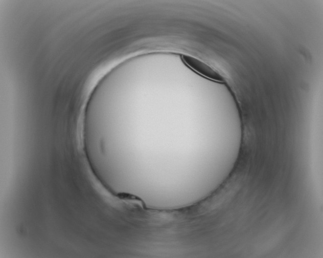 X0000113361528200910131250