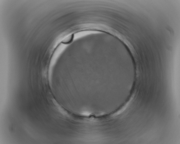 X0000113361529200910131250