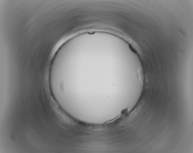 X0000113361530200910131250