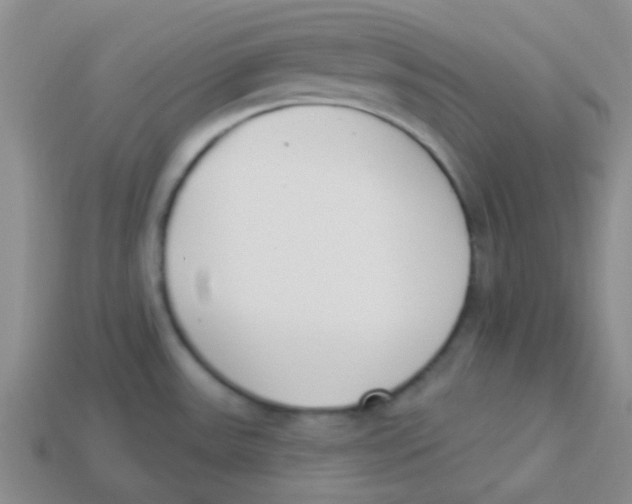 X0000113361531200910131250