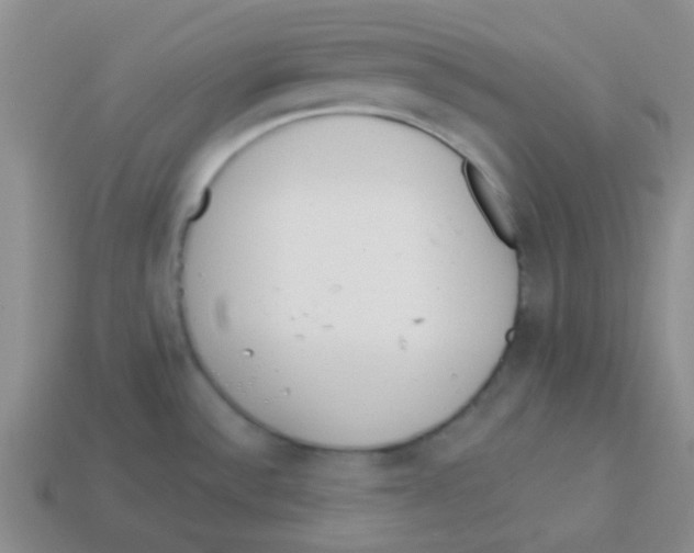 X0000113361532200910131250