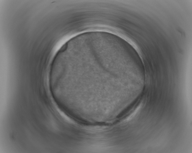 X0000113361533200910131250