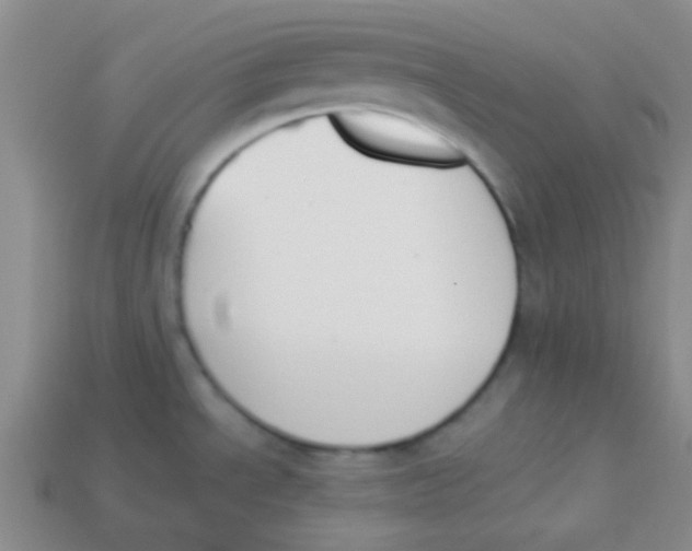 X0000113361534200910131250