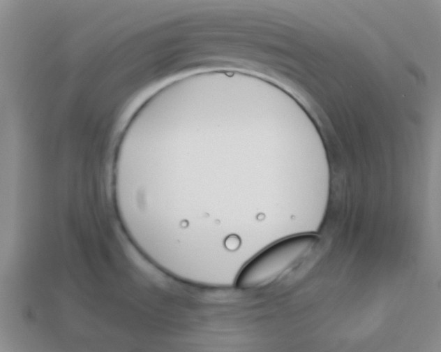 X0000113361535200910131250