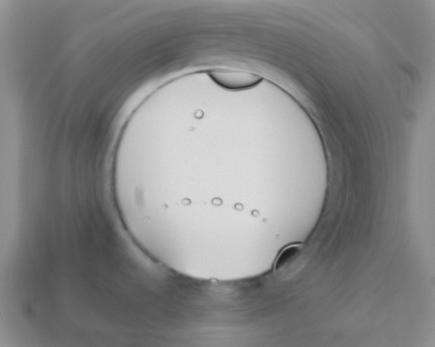 X0000113361536200910131250