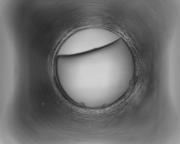 X0000113370002200909151036