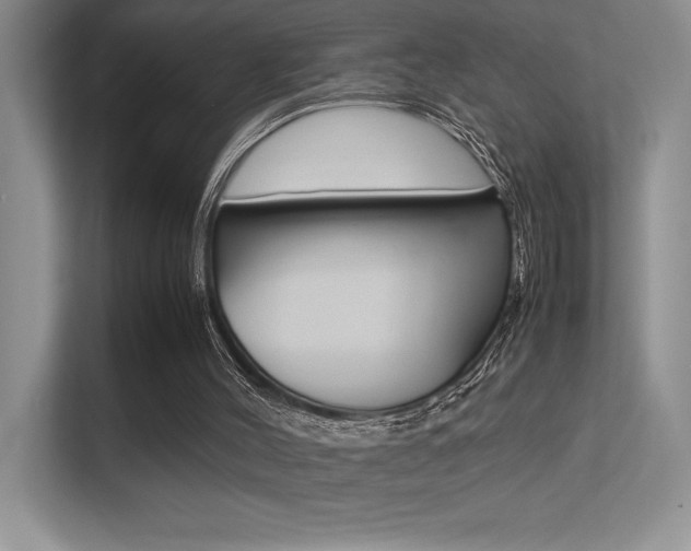X0000113370004200909151036