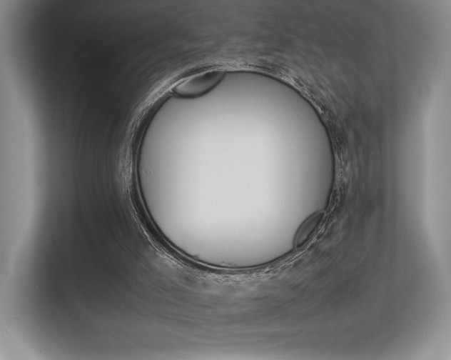 X0000113370005200909151036