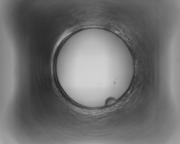 X0000113370006200909151036