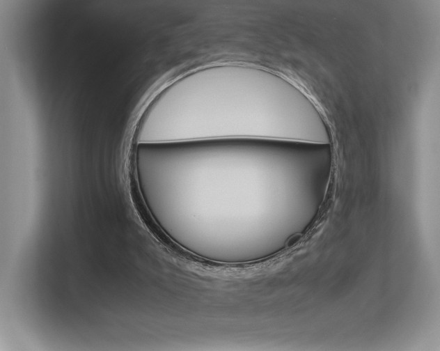X0000113370007200909151036