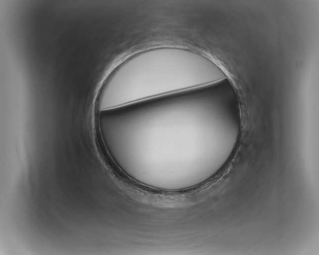 X0000113370008200909151036