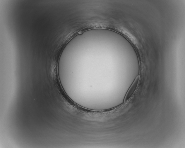 X0000113370009200909151036
