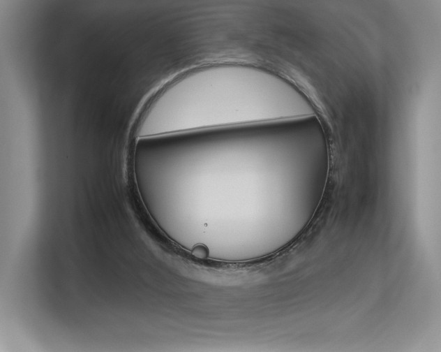 X0000113370012200909151036