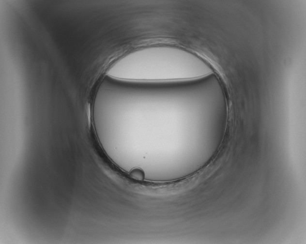 X0000113370013200909151036