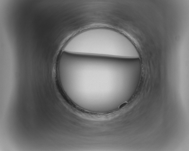 X0000113370015200909151036