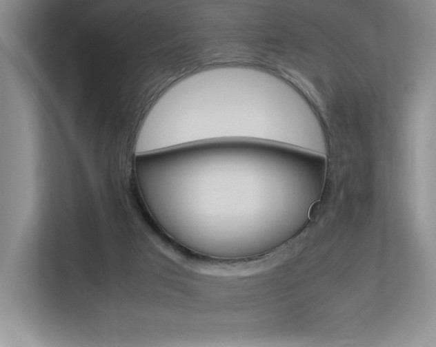 X0000113370017200909151036