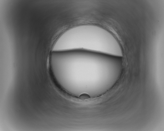 X0000113370019200909151036