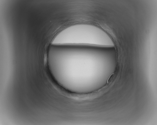 X0000113370021200909151036