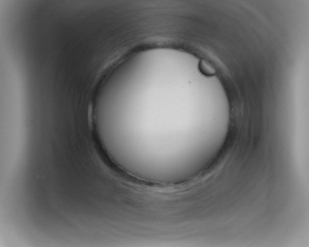 X0000113370024200909151036