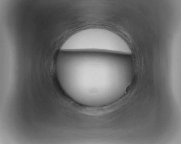 X0000113370029200909151036