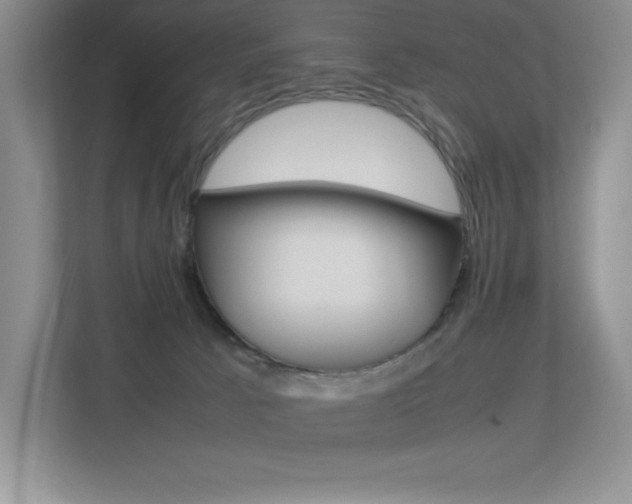 X0000113370033200909151036