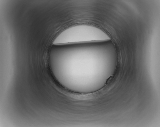 X0000113370036200909151036