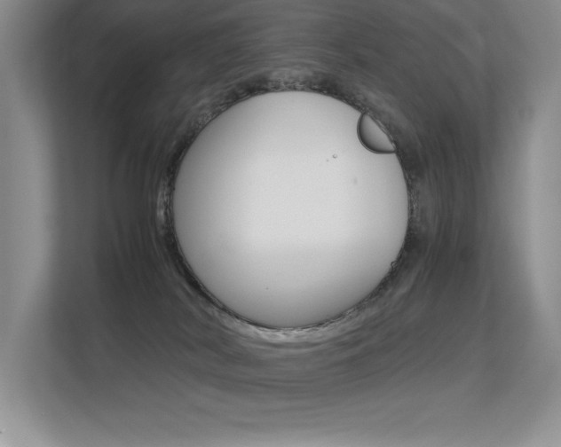X0000113370038200909151036