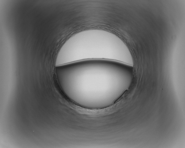 X0000113370039200909151036
